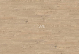 Haro Tritty 200 Aqua 4V ДУБ СИЦИЛИЯ ПУРО 537370 фото 1 | FLOORDEALER